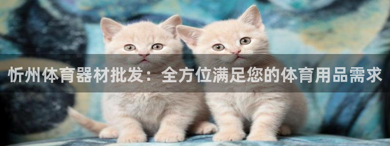 欧亿测速娱乐：忻州体育器材批发：全方位满足您的体育用