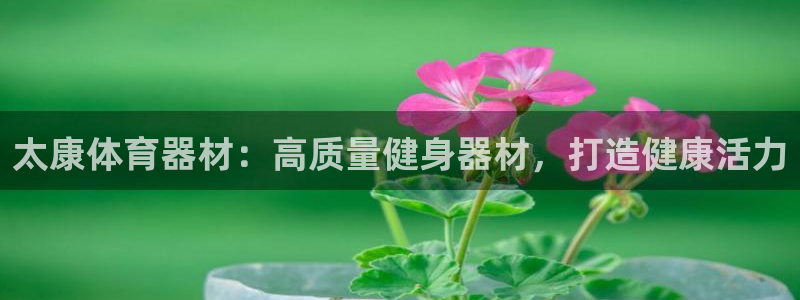 星欧娱乐扣款时间查询方法是什么：太康体育器材：高质量