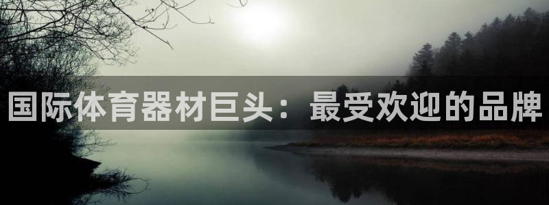 星欧娱乐属于什么档次：国际体育器材巨头：最受欢迎的品