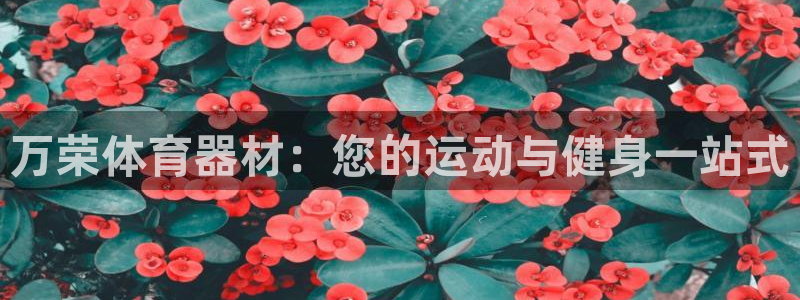 星澳娱乐公司地址：万荣体育器材：您的运动与健身一站式
