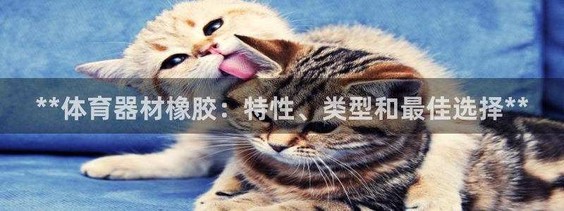 星澳娱乐公司地址：**体育器材橡胶：特性、类型和最佳