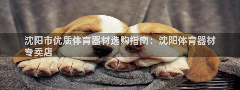 星欧娱乐平台过7O777：沈阳市优质体育器材选购指南