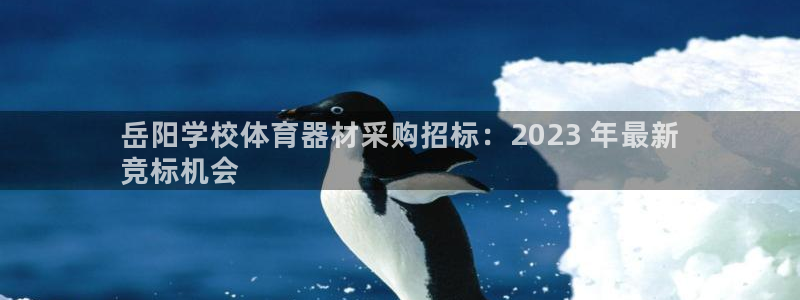 星欧娱乐最建议买的三个游戏是什么：岳阳学校体育器材采