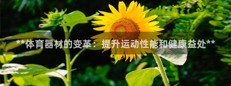 星欧娱乐公司怎么样：**体育器材的变革：提升运动性能