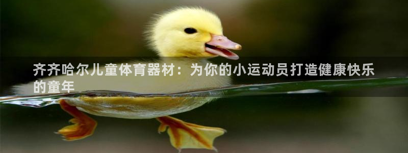 星欧娱乐工711.11是正规的吗：齐齐哈尔儿童体育器