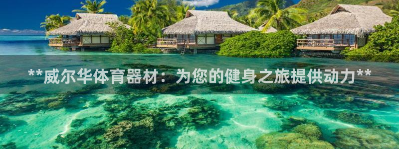 星欧娱乐扣款时间查询方法怎么查：**威尔华体育器材：