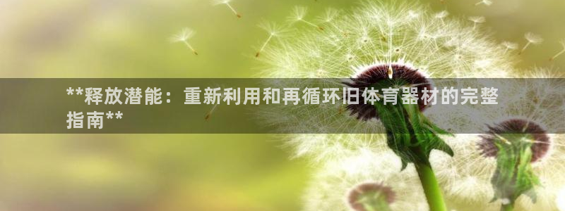 星欧娱乐公司地址：**释放潜能：重新利用和再循环旧体