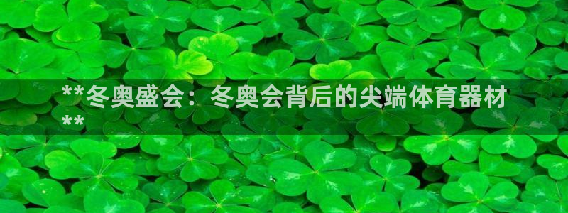 星欧娱乐公司电话号码查询：**冬奥盛会：冬奥会背后的