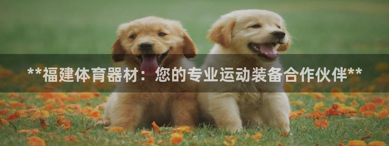 星娱乐online：**福建体育器材：您的专业运动装