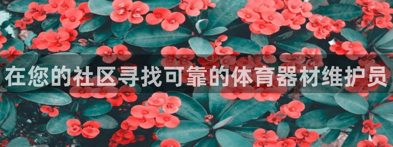 星欧娱乐平台测速线路设置：在您的社区寻找可靠的体育器