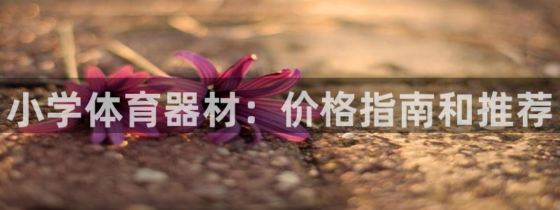 星欧娱乐最建议买的三个产品是：小学体育器材：价格指南