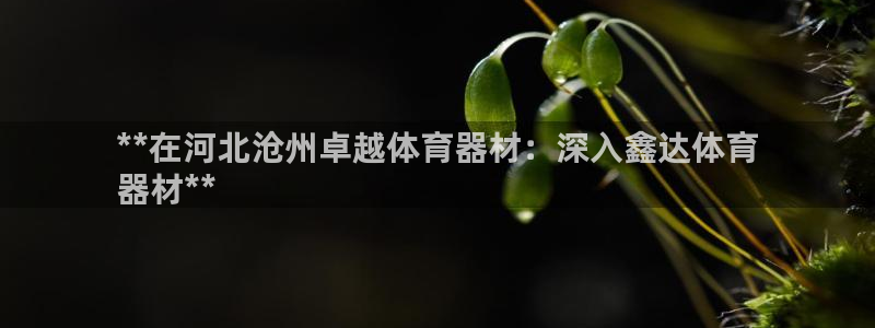 星奥娱乐集团股份有限公司怎么样：**在河北沧州卓越体
