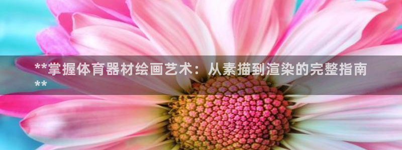 星欧娱乐游戏官网：**掌握体育器材绘画艺术：从素描到