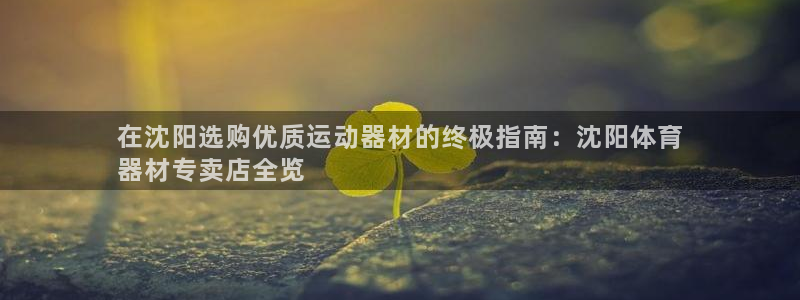 星奥娱乐集团官网：在沈阳选购优质运动器材的终极指南：