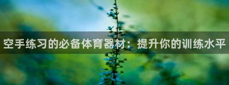 星奥娱乐集团怎么样：空手练习的必备体育器材：提升你的