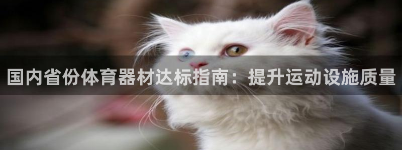 星欧娱乐方7O777：国内省份体育器材达标指南：提升