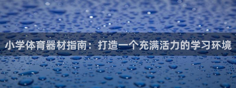 星欧娱乐最建议买的三个游戏：小学体育器材指南：打造一