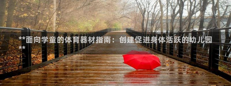 星欧娱乐平台怎么样可靠吗知乎：**面向学童的体育器材