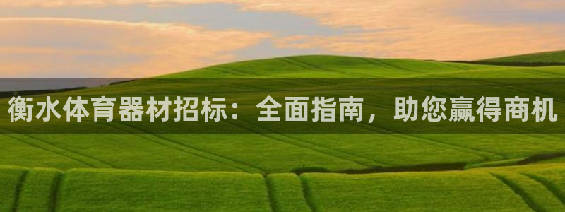 星澳娱乐公司简介：衡水体育器材招标：全面指南，助您赢