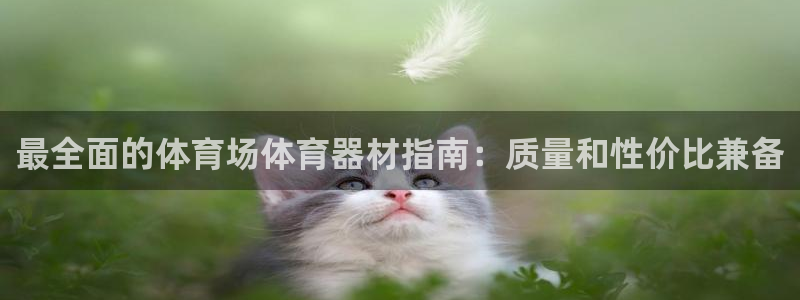 星欧娱乐公司电话号码：最全面的体育场体育器材指南：质