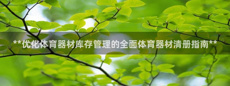 星欧娱乐扣费处理方法：**优化体育器材库存管理的全面