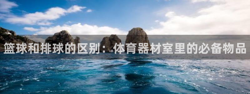 星欧娱乐属于什么档次的公司啊：篮球和排球的区别：体育