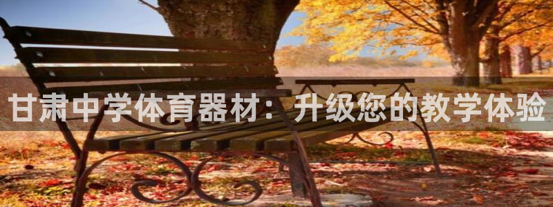 星奥娱乐集团股份有限公司招聘：甘肃中学体育器材：升级