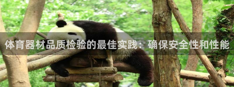 星欧娱乐游戏官网：体育器材品质检验的最佳实践：确保安
