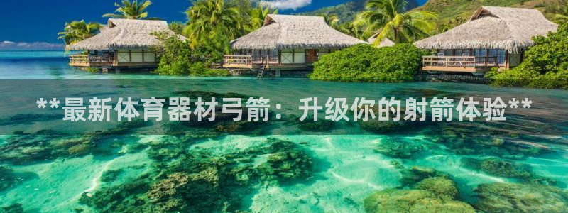 星娱乐彩票网：**最新体育器材弓箭：升级你的射箭体验