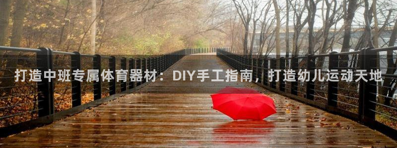星欧娱乐联售后服务评价：打造中班专属体育器材：DIY