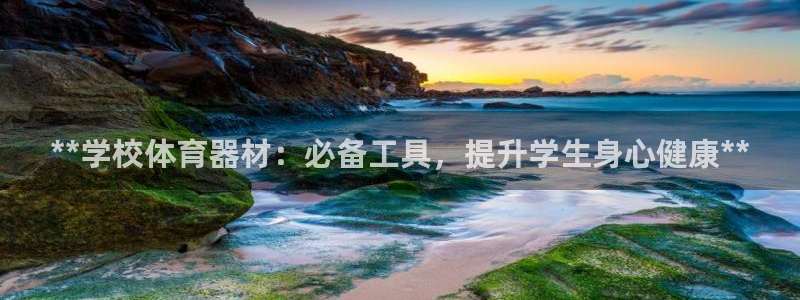星娱乐online张译：**学校体育器材：必备工具，