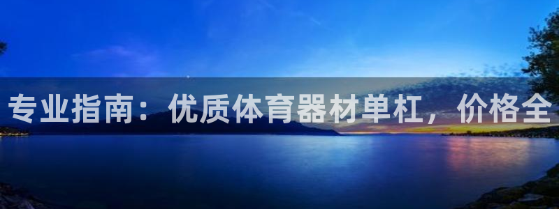 星奥娱乐集团股份有限公司：专业指南：优质体育器材单杠