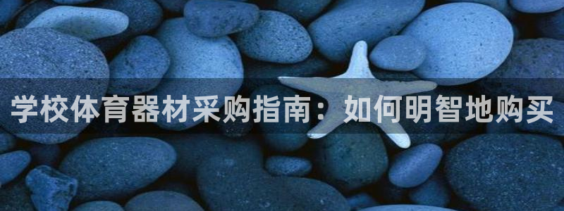 星奥娱乐旗下艺人：学校体育器材采购指南：如何明智地购