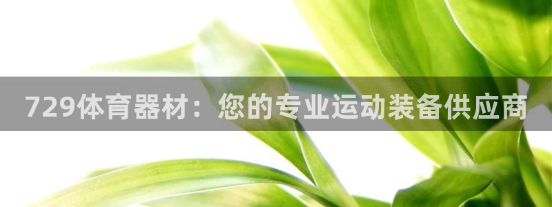 星娱乐online音乐：729体育器材：您的专业运动