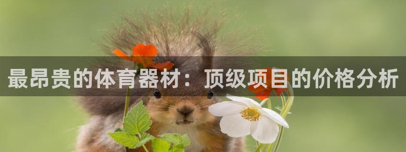 星欧娱乐的官方版本更新内容是什么：最昂贵的体育器材：