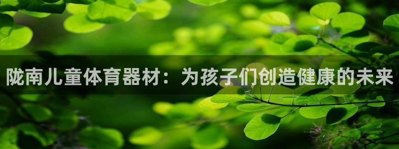 星欧娱乐扣款时间查询方法怎么查：陇南儿童体育器材：为