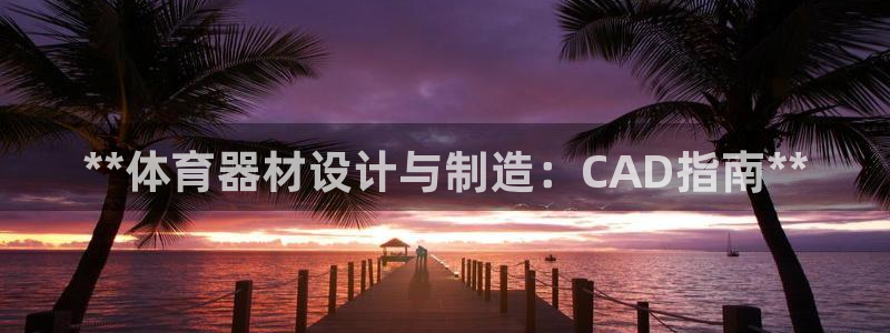 星欧娱乐属于什么档次的公司名称：**体育器材设计与制