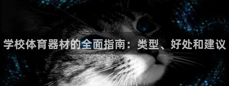 星欧娱乐公司电话号码：学校体育器材的全面指南：类型、