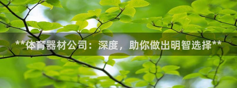 星欧娱乐挂机：**体育器材公司：深度，助你做出明智选
