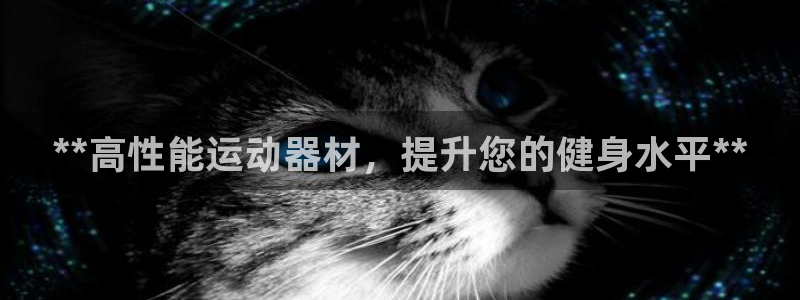 星欧娱乐扣款流程详解图：**高性能运动器材，提升您的