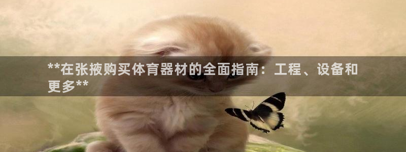 星欧娱乐挂机赚钱：**在张掖购买体育器材的全面指南：