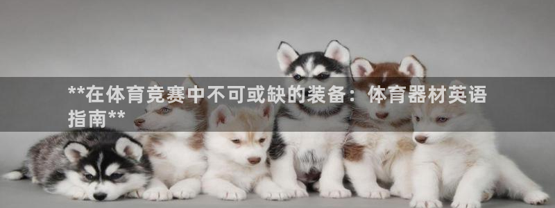 星奥盛典娱乐会所：**在体育竞赛中不可或缺的装备：体
