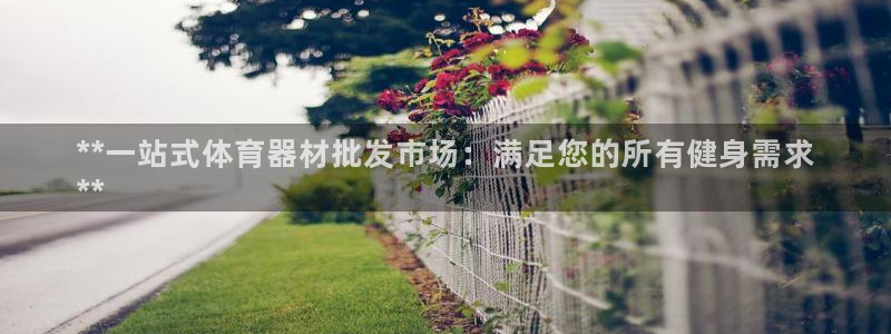 星娱乐online创作的原声：**一站式体育器材批发