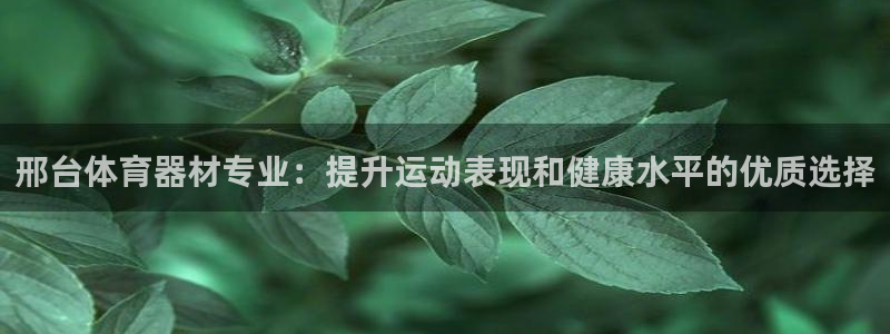 星欧娱乐测速怎么样：邢台体育器材专业：提升运动表现和