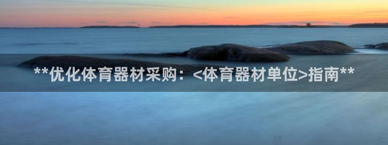 星娱乐文化传媒有限公司：**优化体育器材采购：<体育