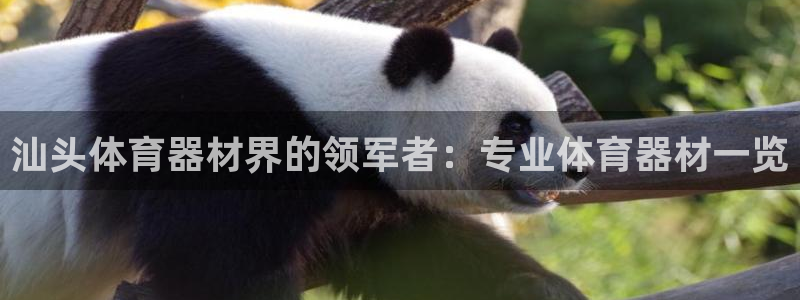 星欧娱乐属于什么档次的软件公司：汕头体育器材界的领军