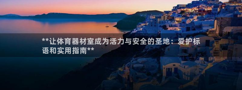 江苏星奥娱乐有限公司怎么样：**让体育器材室成为活力