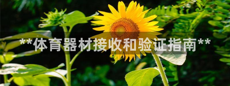 星欧娱乐彩票软件下载官网：**体育器材接收和验证指南