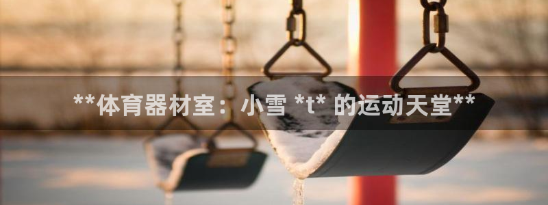 江苏星奥娱乐：**体育器材室：小雪 *t* 的运动天