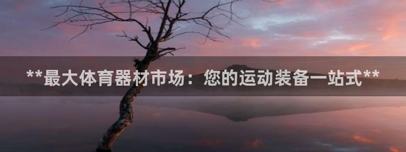 星欧娱乐官网下载安卓：**最大体育器材市场：您的运动